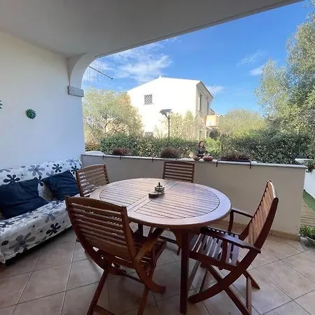 Nefhouse 83 * Tanaunella