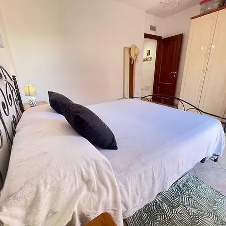 Nefhouse 83 Tanaunella