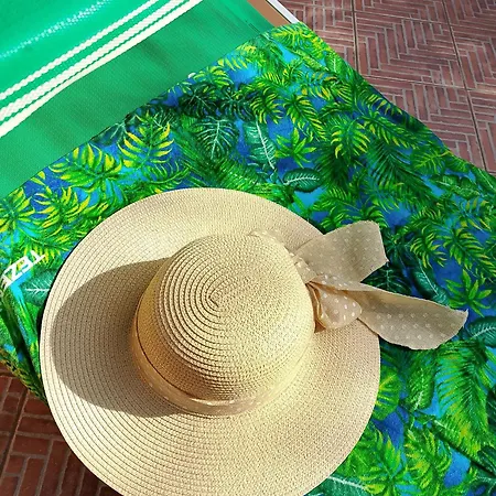 Nefhouse 83 Semesterbostad Tanaunella