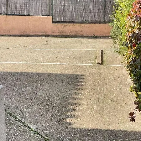 Nefhouse 83 * Tanaunella