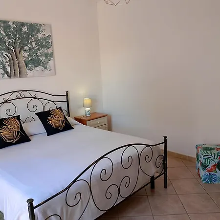 Nefhouse 83 * Tanaunella